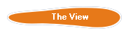 The View